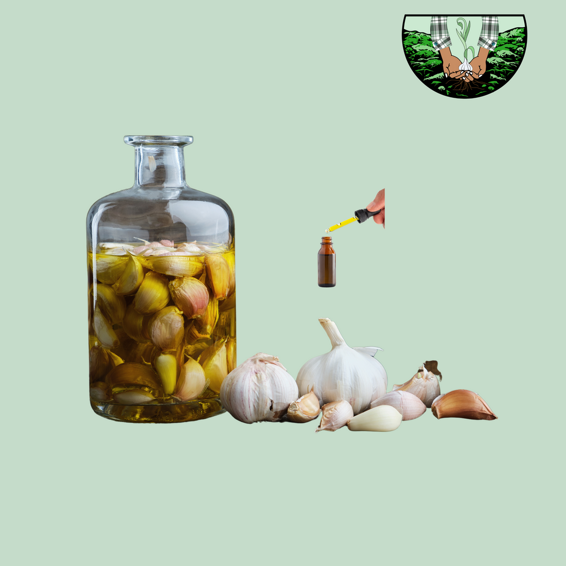 Garlic Tincture