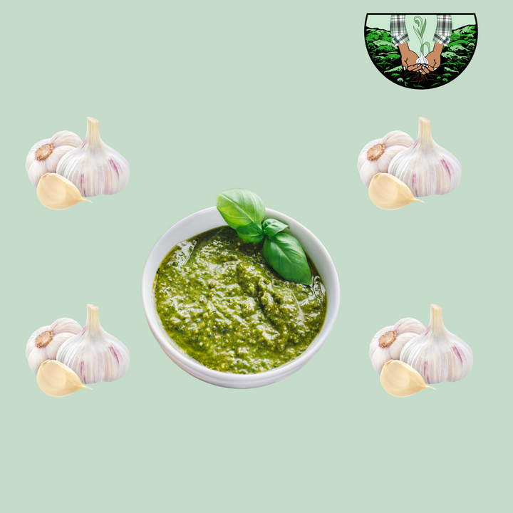 Garlic Pesto