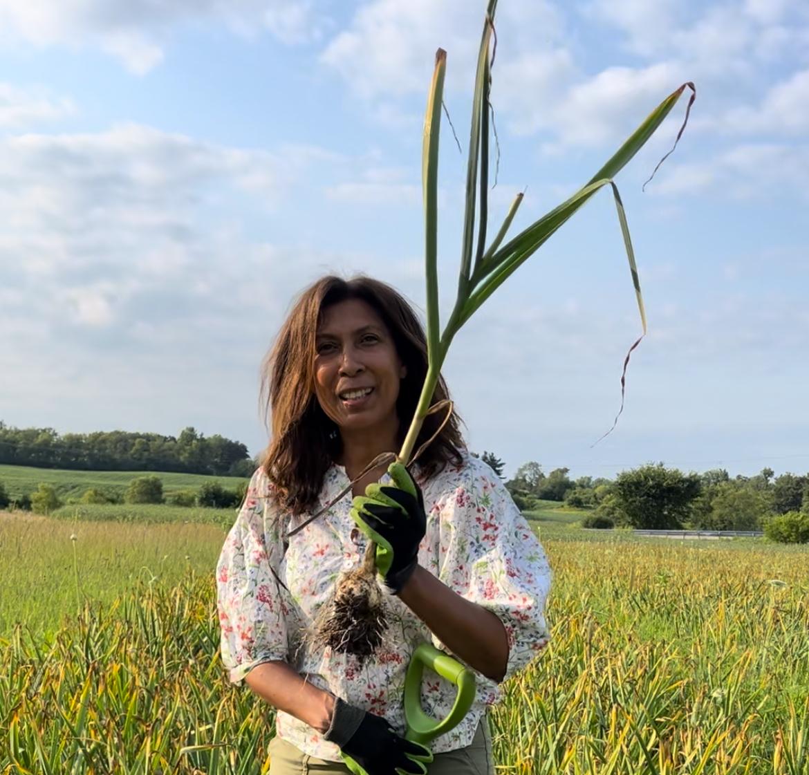 Load video: Garlic Harvest at the Garlic eScape Farm